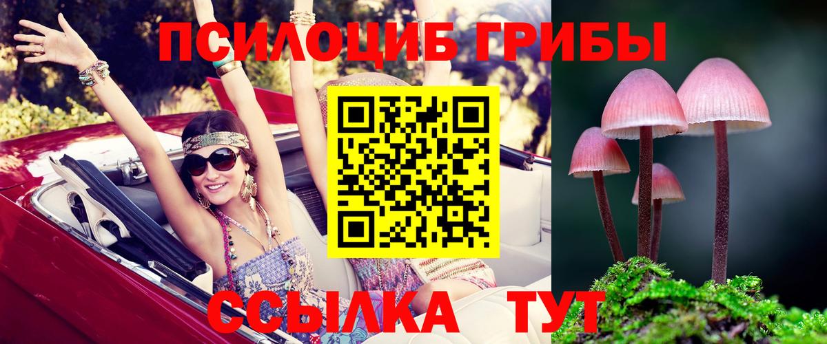 Галлюциногенные грибы мицелий Киржач