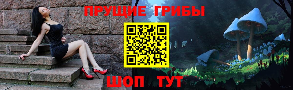 Псилоцибиновые грибы прущие грибы  сколько стоит  Киржач  Вход с VPN 
